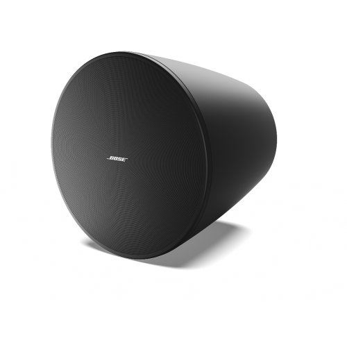 Bose® Grave DesignMax DM10P-SUB