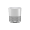 Bose® Home Speaker 500 (Cinza)