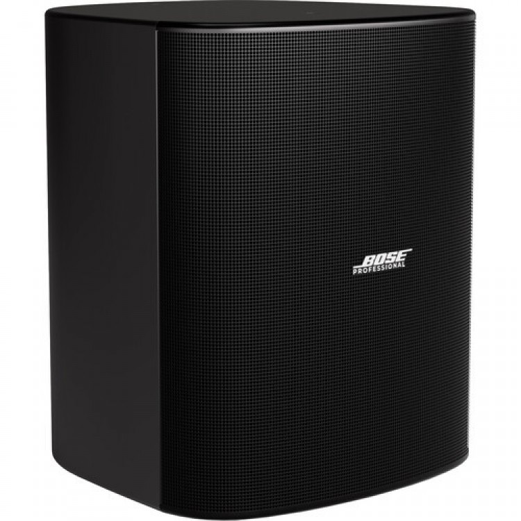 Bose® DesignMax DM12SE 12-Inch Coaxial Surface-Mount Loudspeaker